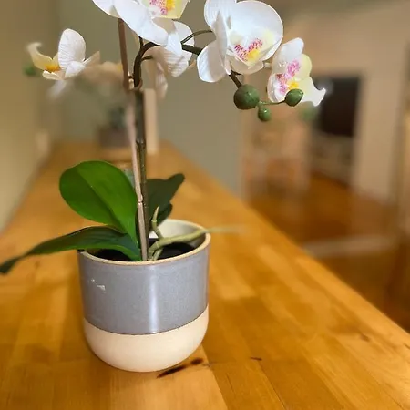 Apartment Bairro Alto 1