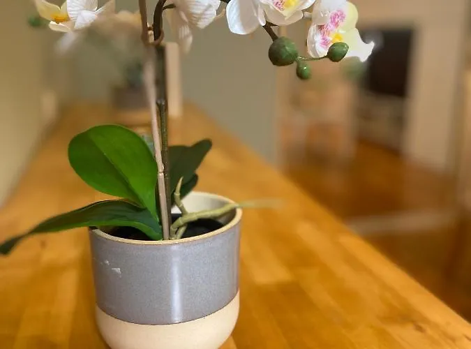 Apartment Bairro Alto 1